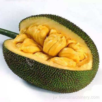 Mesin Processing Jackfruit Asam Natural Jackfruit